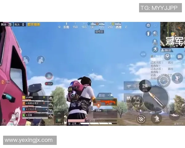 从零开始掌握和平精英团队协作技巧全攻略助你战胜对手赢得胜利