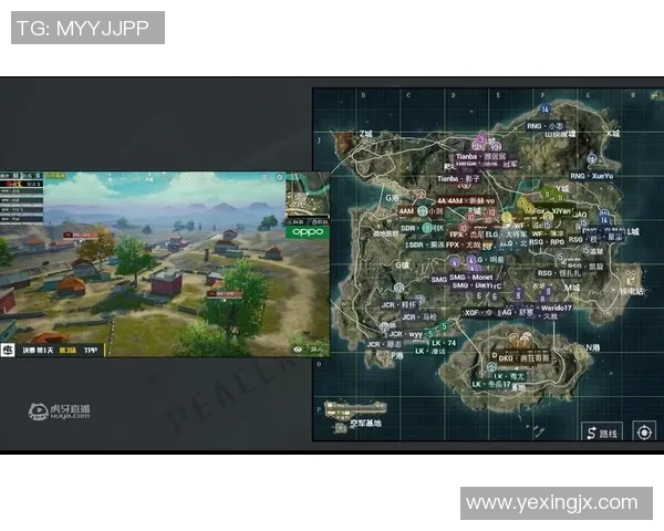 热议和平精英RNG战术变革带来的新机遇与挑战分析